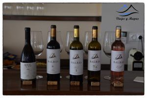 Vinos de la Ribera del Duero burgalesa