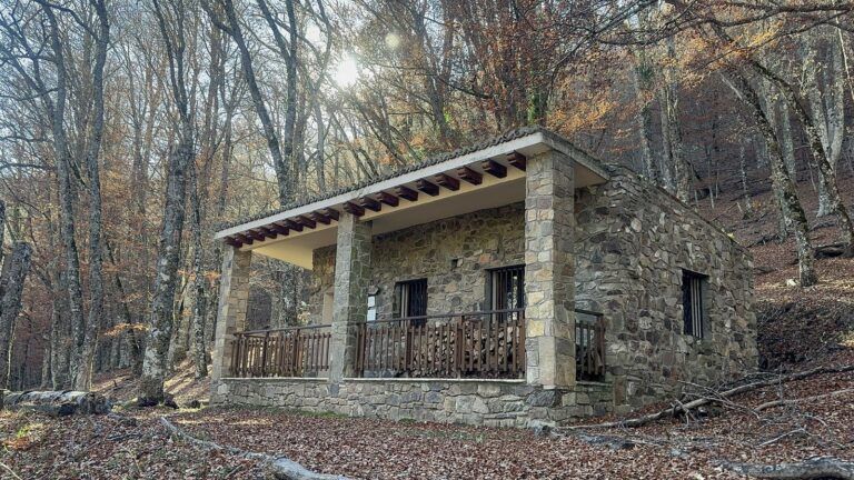 Casa de piedra con porche en el bosque del Hayedo de Montejo