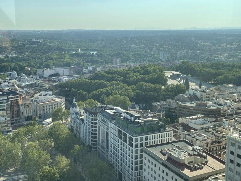 El parque del Oeste y la Casa de Campo vistos desde lo alto del Edificio España